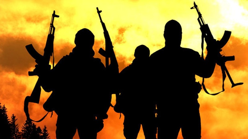 Stop gunmen invasions or risk self-help — NBA warns governments