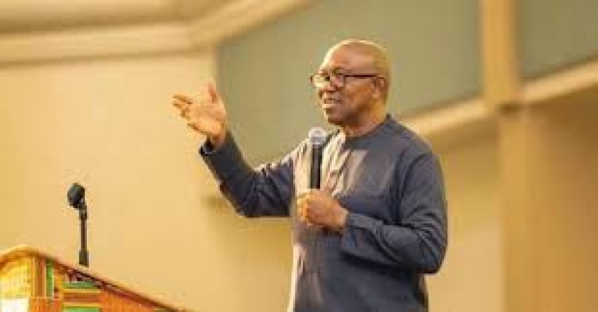 Politicians are the Goliaths in our polity; Nigeria must find its David — Peter Obi