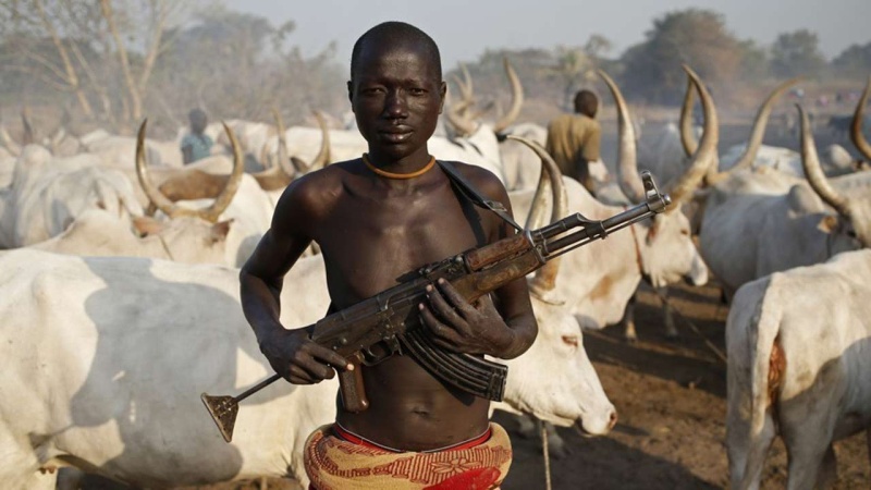 Fulani people to US Panel: Stop portraying us as sole source of insecurity in Nigeria