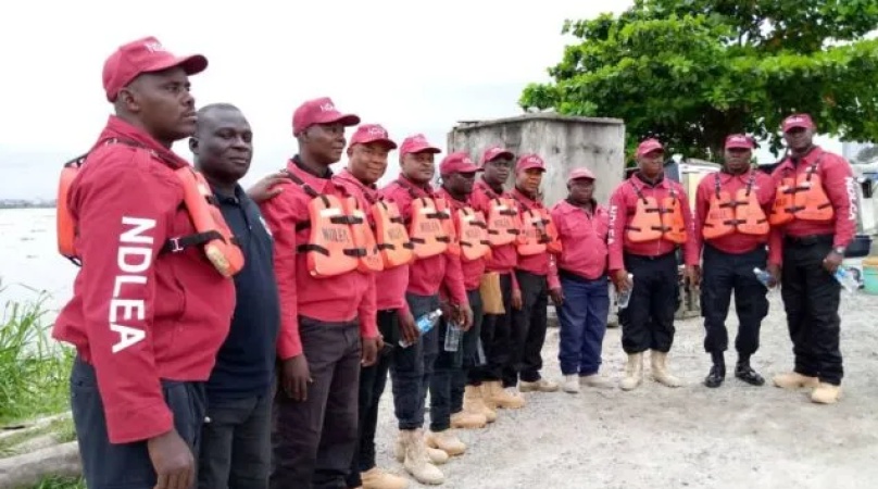 Drug traffickers abandon Sienna buses with 1,455kg of cannabis in Edo