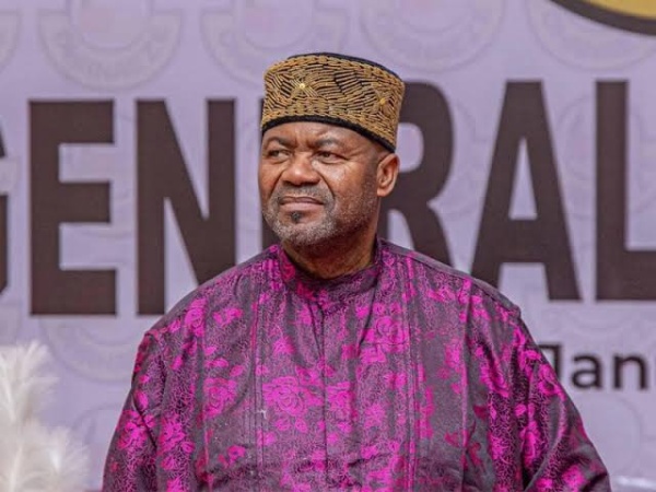 Ohanaeze inaugurates committee to investigate alleged unlawful detention of Igbos globally