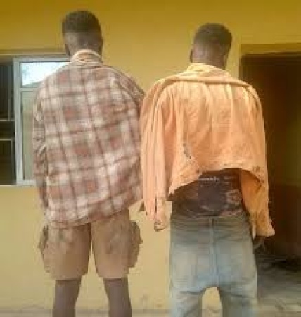 Police arrest two over attempted theft of two-week-old baby in Abia