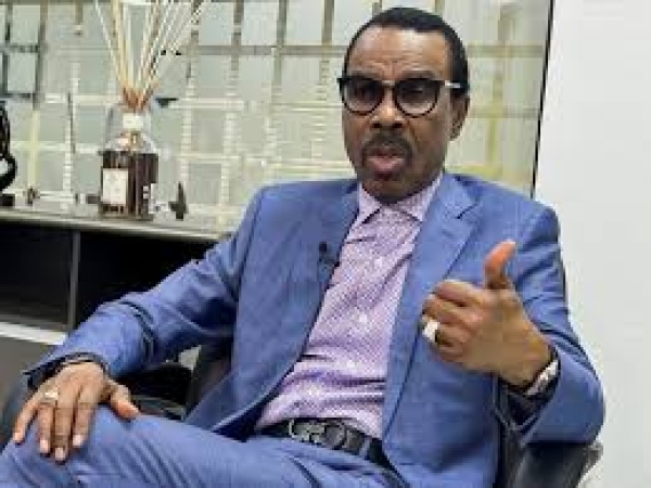 CBN stress test sparked banking stock sell-off — Rewane