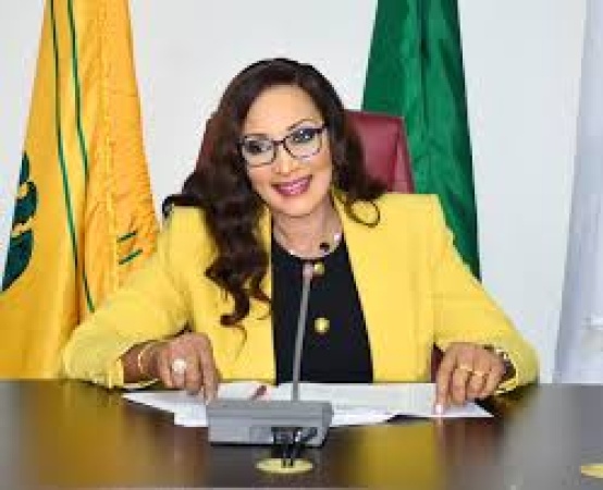 FG condemns anti-African sentiment, says retaliation against South Africa ‘not off the table’