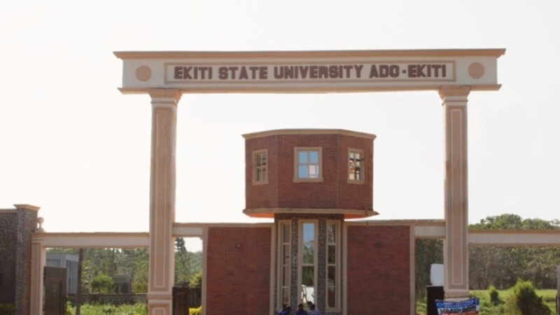 Court frees ex-students’ leaders accused of cultism