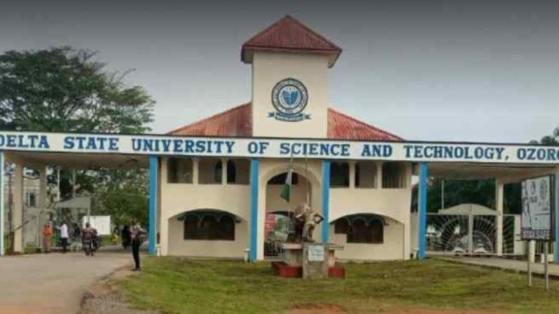 DELSUTH consultants begin indefinite strike over chairman’s dismissal