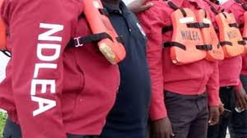 NDLEA opens case against businessman, two others over alleged possession of Tramadol