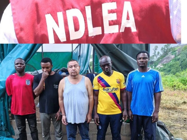 NDLEA busts multi-billion naira meth factory in Oyo forest, arrests Mexican drug expert, four others