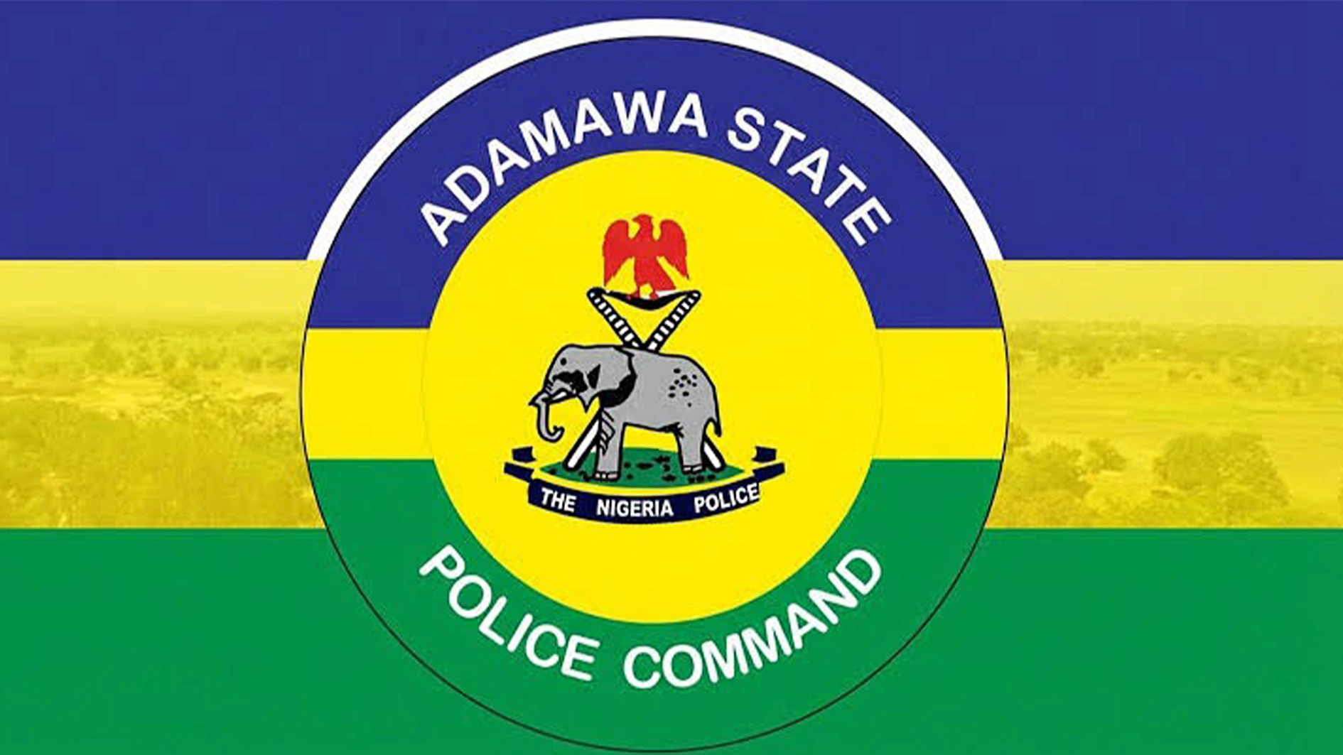 Eight arrested for armed robbery, drug dealing in Yola