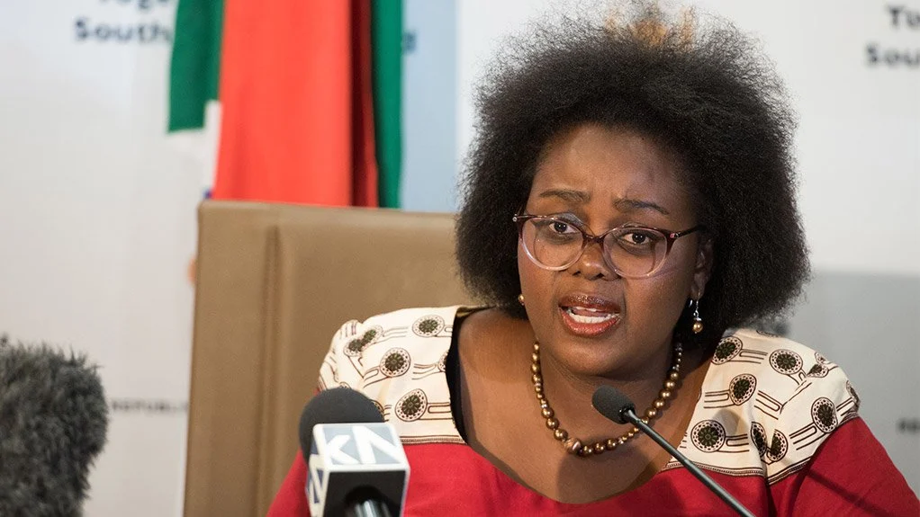 Xenophobia: Our artistes losing gigs, businesses affected, South African minister laments
