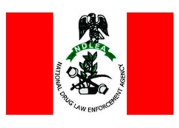 NDLEA warns public against fake auction offers using officials’ names