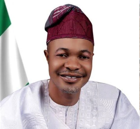 Fake agency: Internal collaborators enabled Adeniyi — Presidential aide