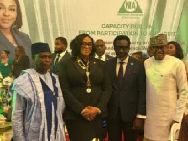 Nwachukwu makes history as NIA’s first female chairperson