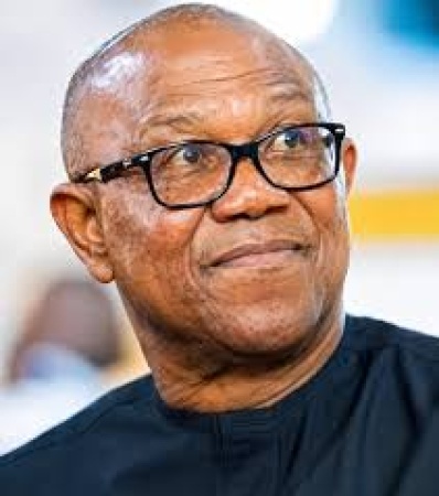 Labour Party vice chair demands N50bn, public apology from Peter Obi